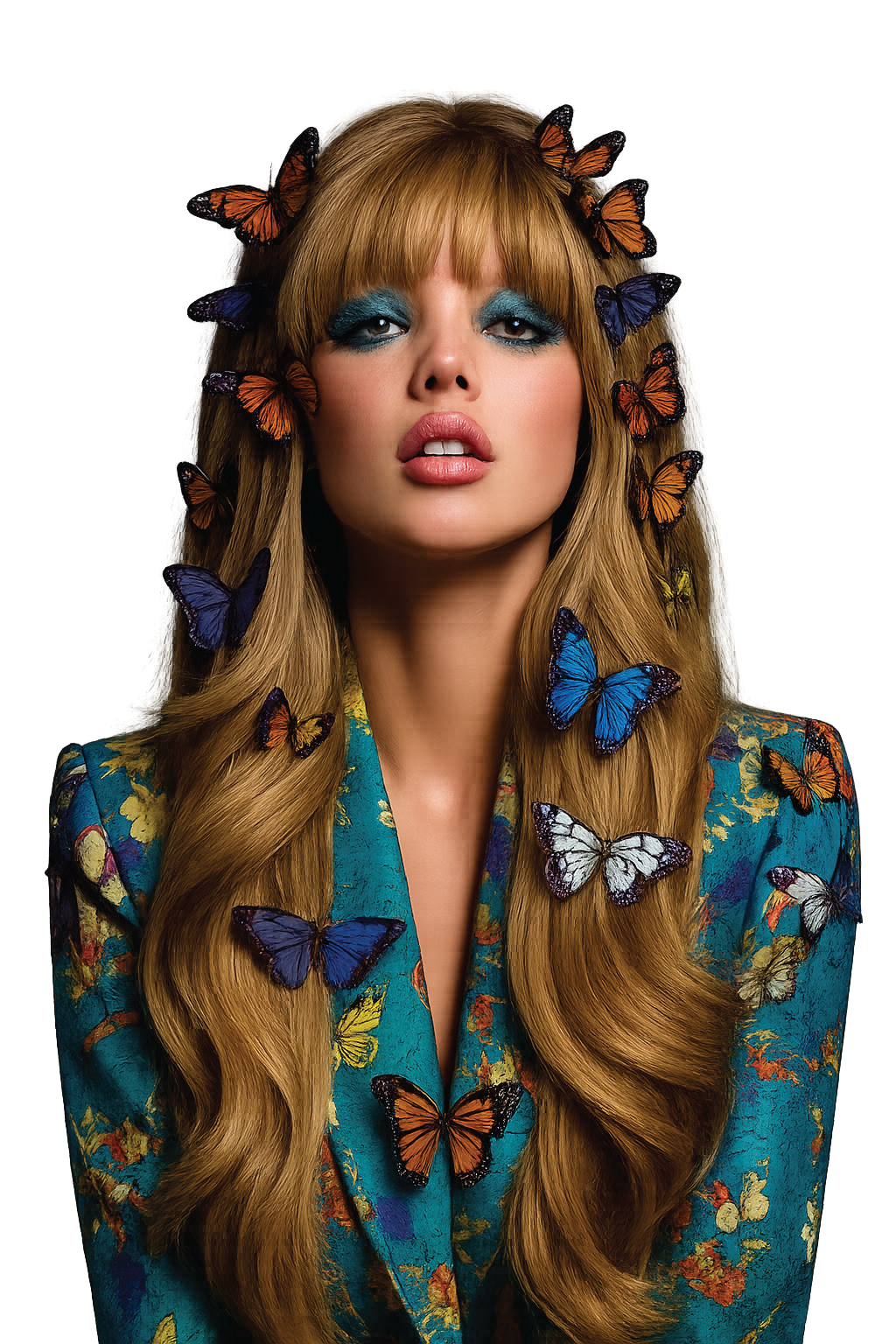 Butterfly Weft Look & Learn
