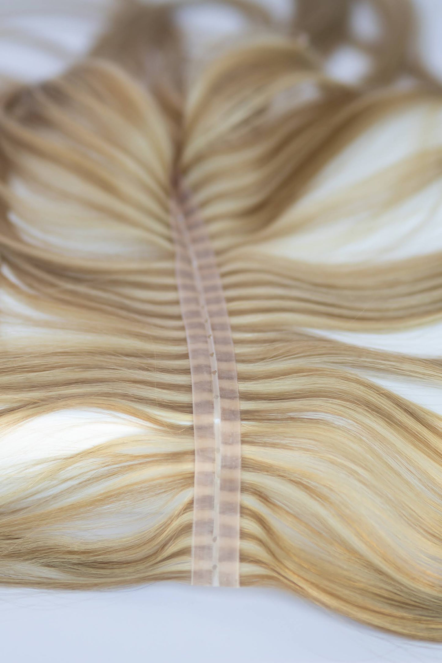 Butterfly Weft Look & Learn Live Virtual Class