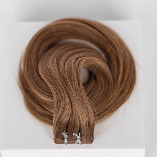 Tape-In 24" 55g Professional Hair Extensions - #6 Cinnamon Brown (aka Chestnut Brown)